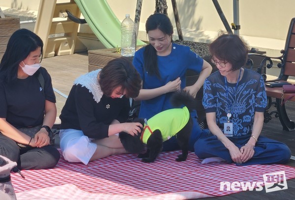 한국동물교감치유학회는 3일 경기 시흥시 소재 석경의료재단 센트럴병원에서 병원 근로자들을 대상으로 동물교감치유 프로그램을 진행했다. 사진 한국동물교감치유학회