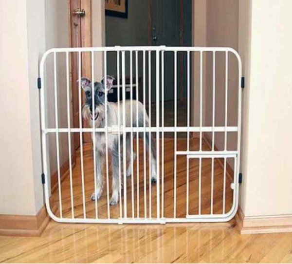 [사진 1] 사진 필자제공