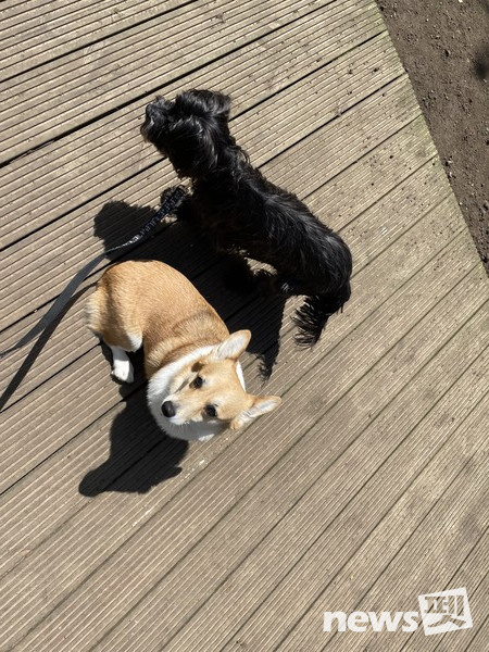 나비와 테드-둘다 중립적인 성향이라 잘 어울린다. 사진 필자제공