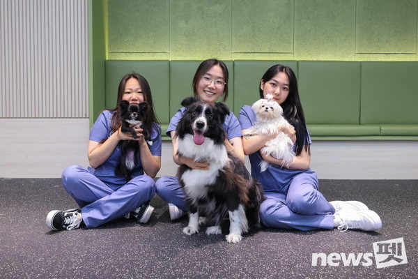 사진 경남정보대학교