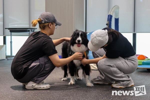 사진 경남정보대학교