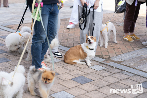 사진 광주광역시