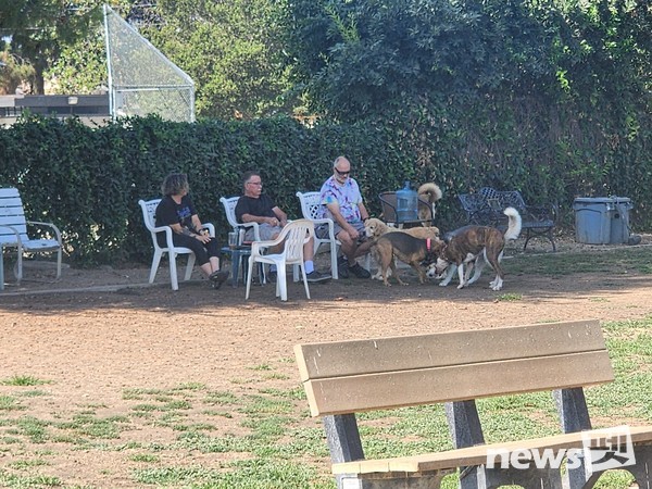 한국펫사료협회 김상덕 회장, KCMC문화원 이웅종 원장 등이 K-펫 축제 장소로 거론되는 도그파크와 롱비치 반려견 해변을 견학했다. 사진 KCMC문화원
