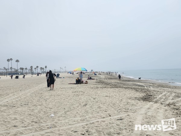 한국펫사료협회 김상덕 회장, KCMC문화원 이웅종 원장 등이 K-펫 축제 장소로 거론되는 도그파크와 롱비치 반려견 해변을 견학했다. 사진 KCMC문화원
