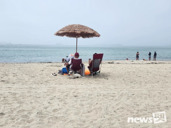 한국펫사료협회 김상덕 회장, KCMC문화원 이웅종 원장 등이 K-펫 축제 장소로 거론되는 도그파크와 롱비치 반려견 해변을 견학했다. 사진 KCMC문화원