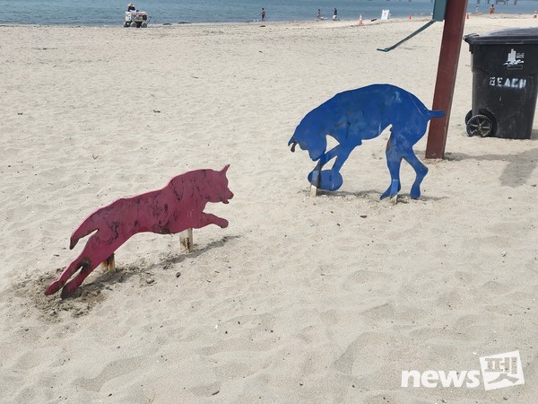 한국펫사료협회 김상덕 회장, KCMC문화원 이웅종 원장 등이 K-펫 축제 장소로 거론되는 도그파크와 롱비치 반려견 해변을 견학했다. 사진 KCMC문화원