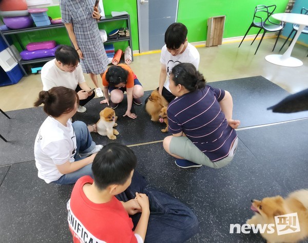 사진 둥글개봉사단