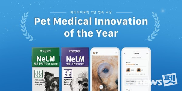 에이아이포펫, ‘2024 펫 이노베이션 어워드’서 ‘올해의 펫 메디컬 혁신’ 부문 수상. 사진 에이아이포펫