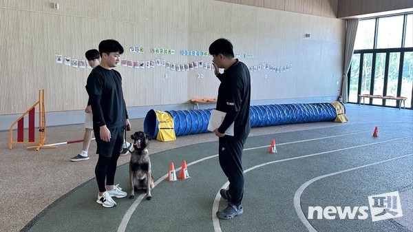 반려동물공원 실내놀이터에서 기질평가 사전 준비하는 모습. 사진 대전동물보호사업소