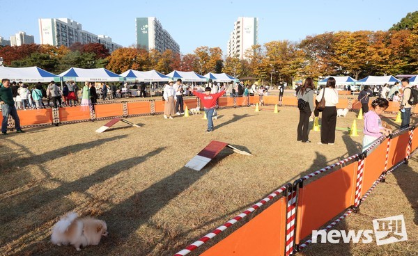 지난해 10월 열린 광명시 반려동물 문화축제 모습. 사진 광명시