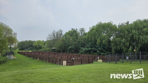 반려견 캠핑장 전경. 사진 서울시