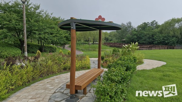 댕댕아 놀자 정원. 사진 서울시