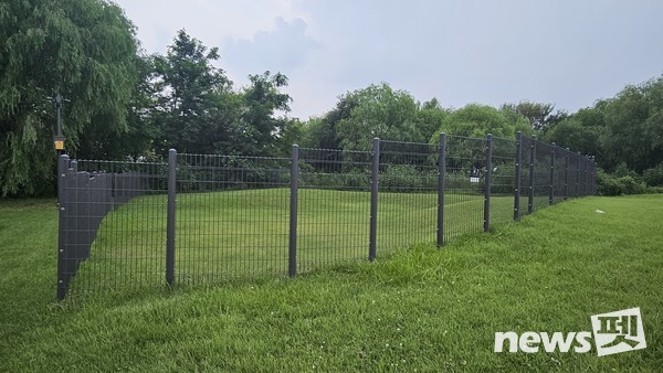 대형견 놀이터. 사진 서울시