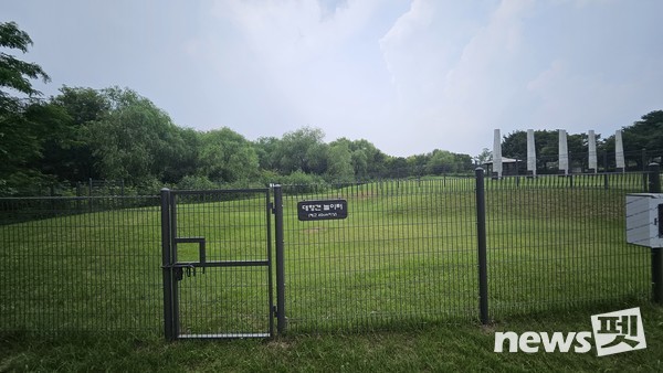 대형견 놀이터. 사진 서울시