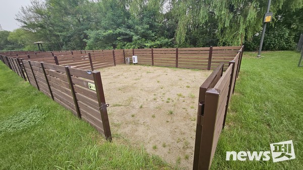 캠핑 사이트. 사진 서울시