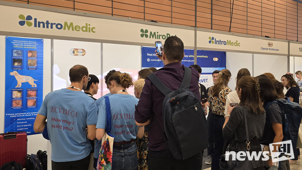 사진 인트로메딕