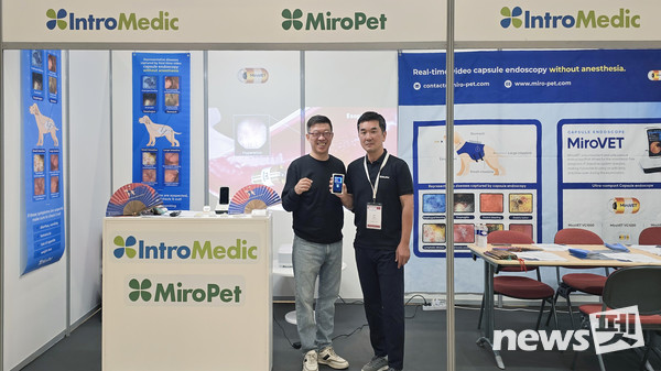 사진 인트로메딕