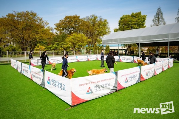 연암대학교 동물보호계열 실외훈련센터에서 진행 중인 ‘반려동물 훈련’ 실습 현장. 사진 연암대학교