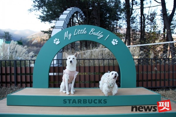 스타벅스 코리아 ‘스타벅스 더북한강R점’. ⓒ뉴스펫