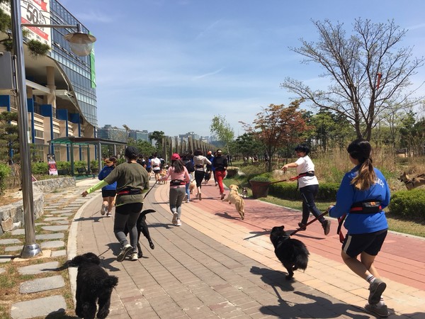 [사진=대한독스포츠연맹 홈페이지 캡처]