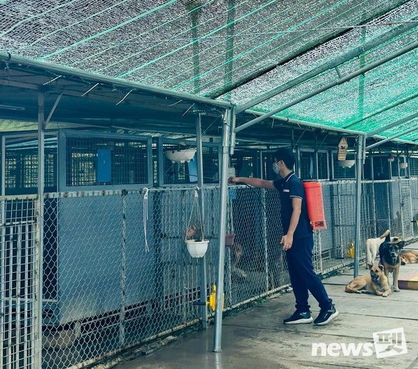 [사진=국경없는 수의사회]