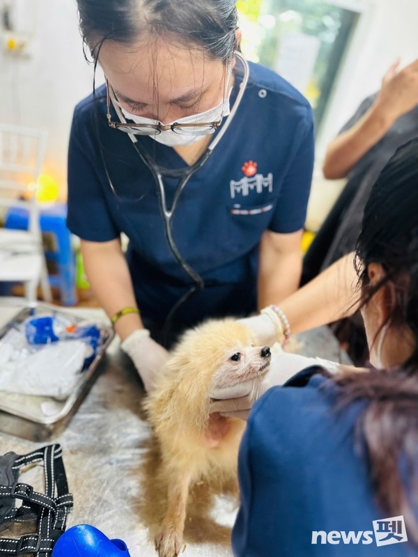 [사진=국경없는 수의사회]