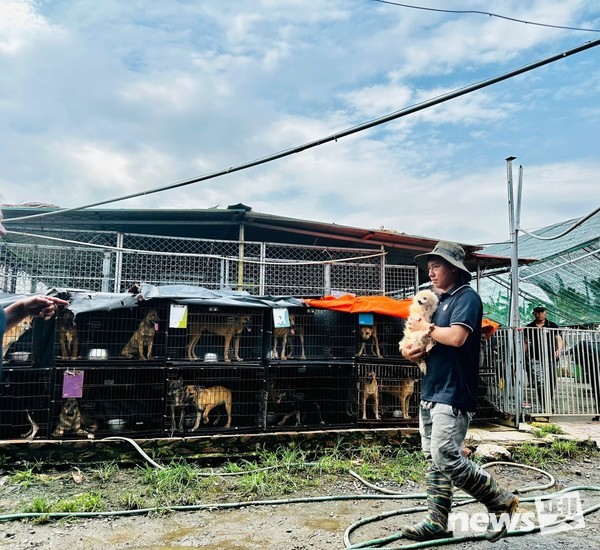 [사진=국경없는 수의사회]
