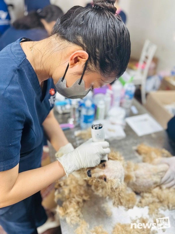 [사진=국경없는 수의사회]