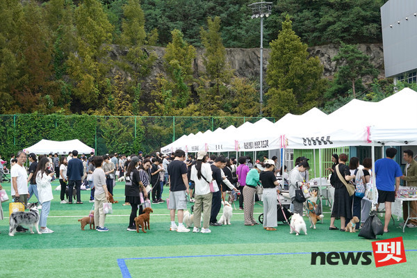 ‘서대문 내품애(愛)프렌즈’ 발대식에서 참가자들이 반려동물 미용, 건강상담, 행동상담, 장난감만들기 등을 위한 부스를 이용하고 있다. 사진 서대문구