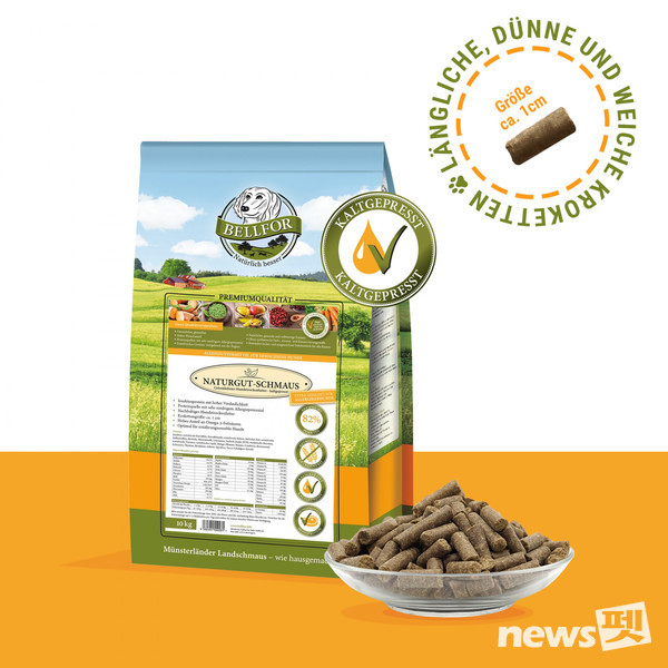 [사진=피제이 글로벌]