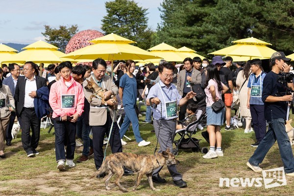 [사진=‘2024 춘천 반려동물 페스티벌’ 사무국]