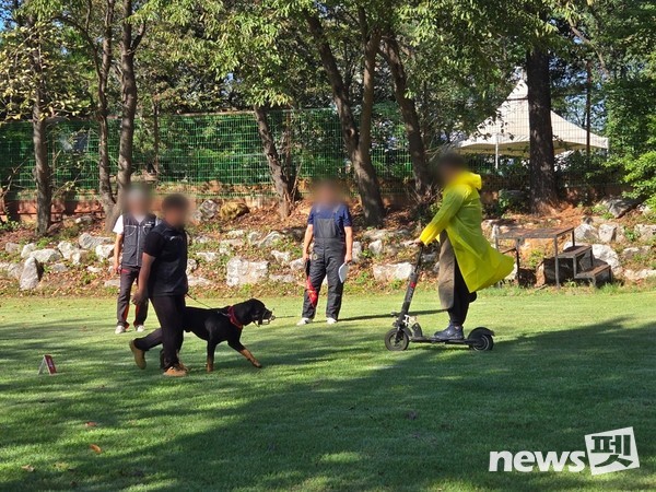 지난달 24일 경기도가 시흥시 반려동물 훈련소에서 진행한 기질평가 사전 모의 시연회 모습. 사진 경기도