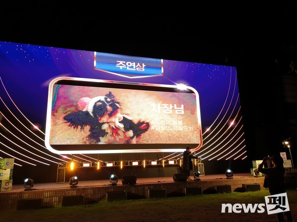 [사진=반려동물국제영화음악제(CAIFAM) 조직위원회]