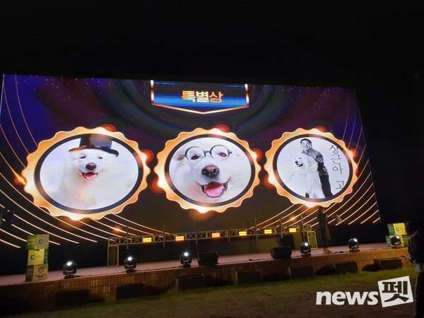 [사진=반려동물국제영화음악제(CAIFAM) 조직위원회]