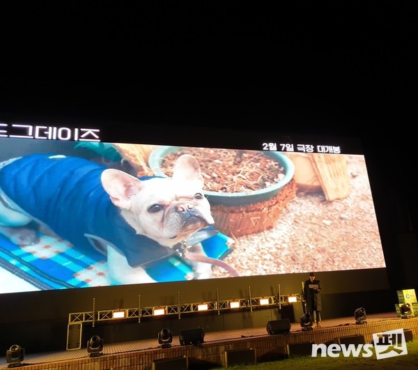 [사진=반려동물국제영화음악제(CAIFAM) 조직위원회]