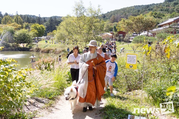 ‘반려견과 함께하는 선명상 축제’ 참가자들이 제25교구 봉선사교구장 호산 스님과 함께하는 ‘반려견과 함께하는 마음챙김 걷기명상’ 프로그램에 참여하고 있다. 사진 마인드디자인