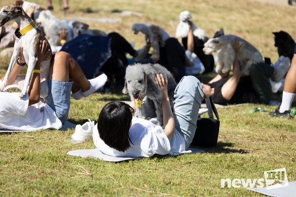 ‘최상의 행복을 찾는 도그요가 테라피’ 프로그램에 참가한 불자와 시민들. 사진 마인드디자인