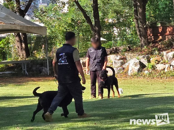 경기도는 10일 반려마루 여주에서 도내 사육 맹견 세 마리를 대상으로 도내 첫 ‘기질평가’를 실시한다. 사진 경기도