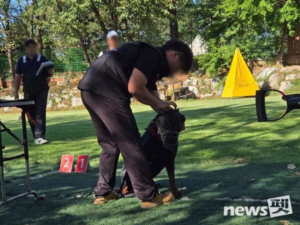 경기도는 10일 반려마루 여주에서 도내 사육 맹견 세 마리를 대상으로 도내 첫 ‘기질평가’를 실시한다. 사진 경기도
