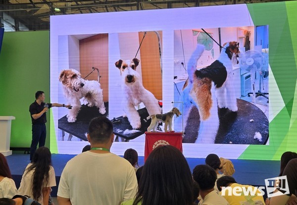 미용 세미나. 사진 펫페어아시아홍보국