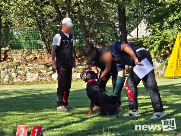 지난달 24일 경기도가 시흥시 반려동물 훈련소에서 진행한 기질평가 사전 모의 시연회 모습. 사진 경기도
