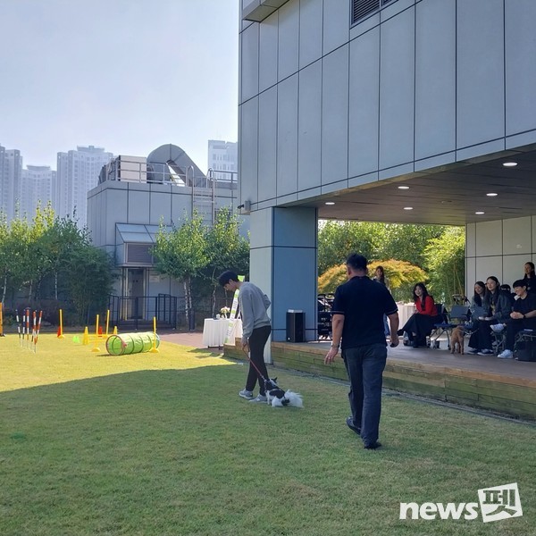 사진 한국유기동물복지협회