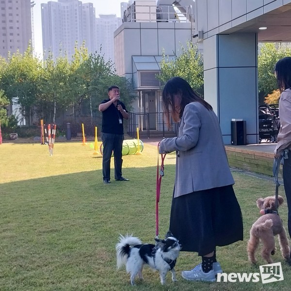 사진 한국유기동물복지협회