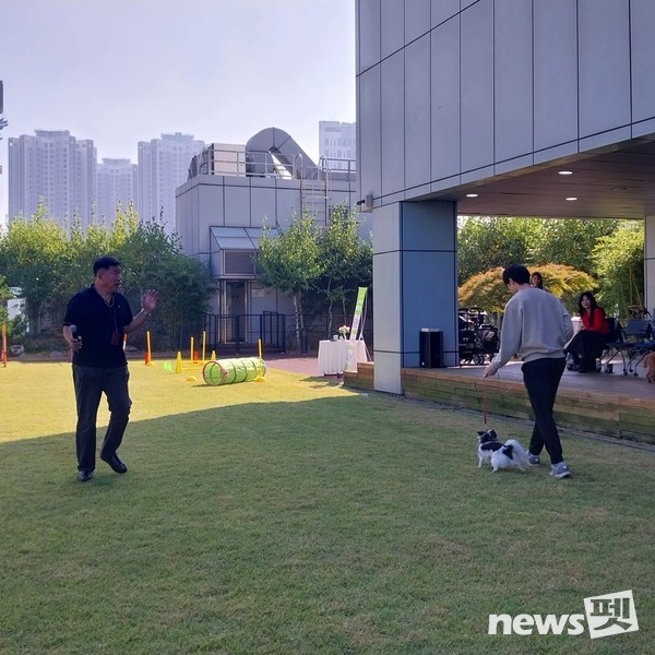 사진 한국유기동물복지협회