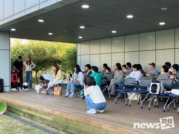 사진 한국유기동물복지협회