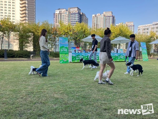 사진 한국유기동물복지협회