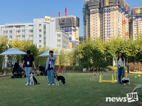 사진 한국유기동물복지협회
