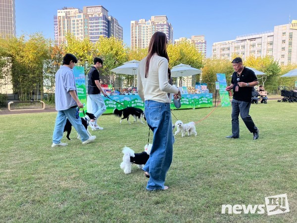 사진 한국유기동물복지협회