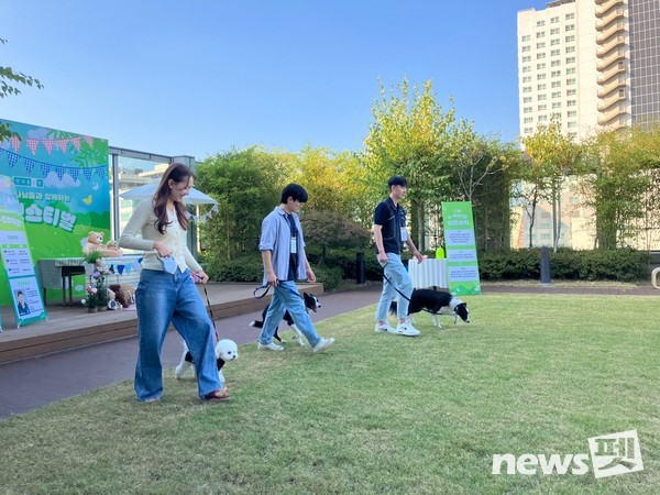 사진 한국유기동물복지협회
