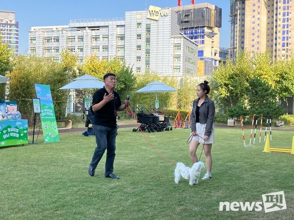 사진 한국유기동물복지협회